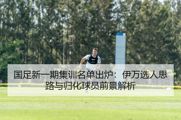 国足新一期集训名单出炉：伊万选人思路与归化球员前景解析